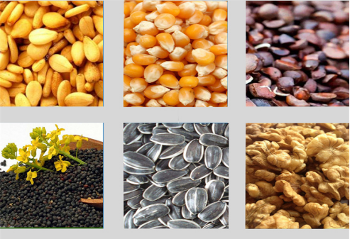 微信图片_20240116103116